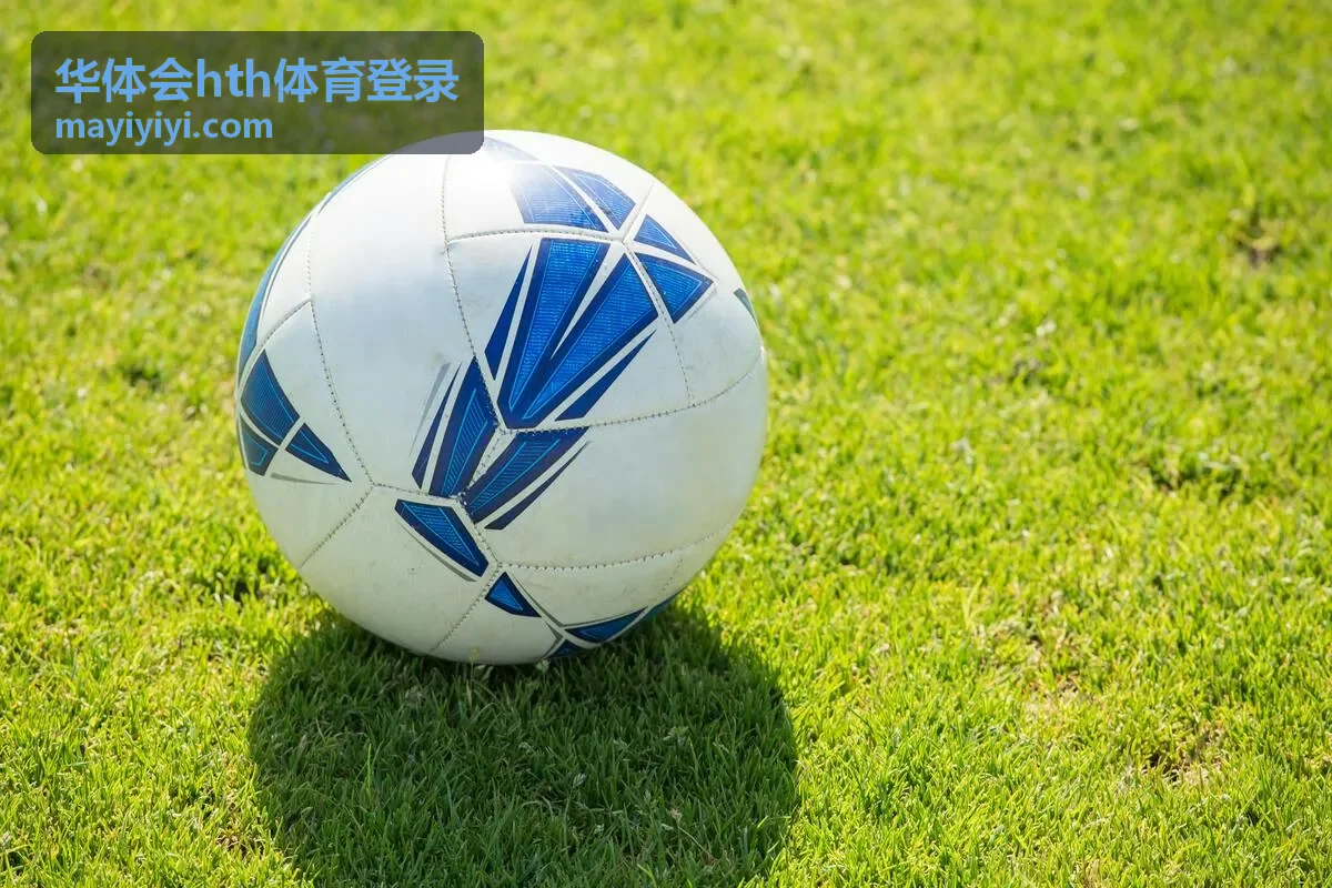 华体会hth体育登录账户服务帮助卡片