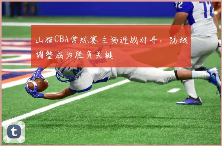 山猫CBA常规赛主场迎战对手，防线调整成为胜负关键