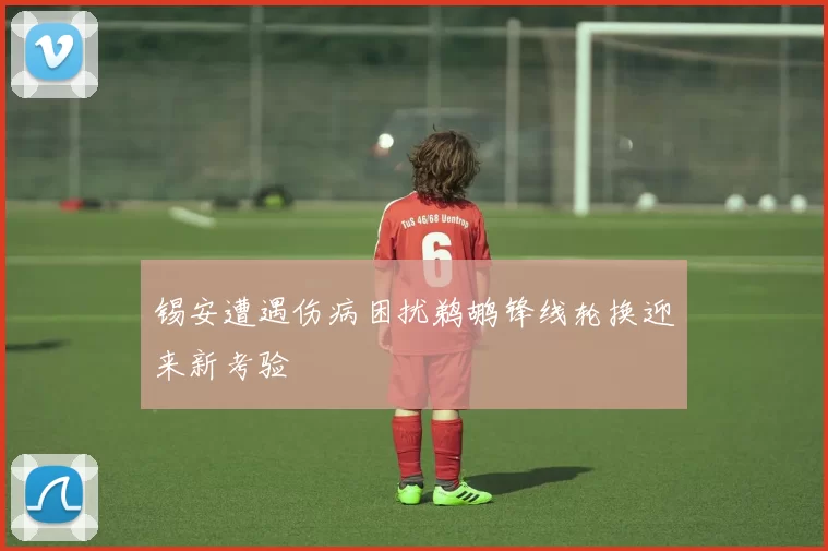 锡安遭遇伤病困扰鹈鹕锋线轮换迎来新考验