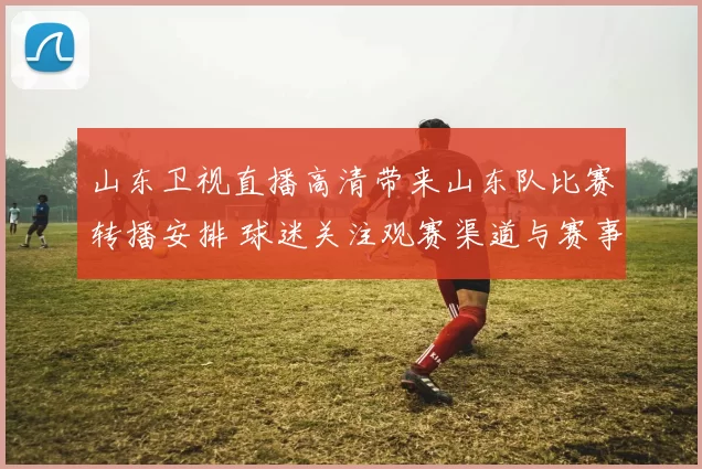 山东卫视直播高清带来山东队比赛转播安排 球迷关注观赛渠道与赛事看点