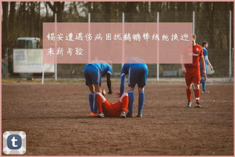 锡安遭遇伤病困扰鹈鹕锋线轮换迎来新考验