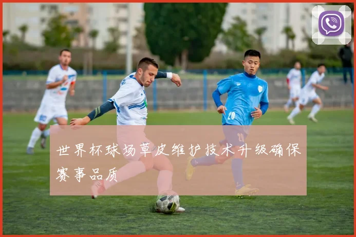 世界杯球场草皮维护技术升级确保赛事品质
