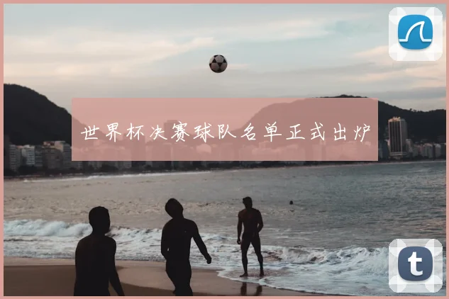 世界杯决赛球队名单正式出炉