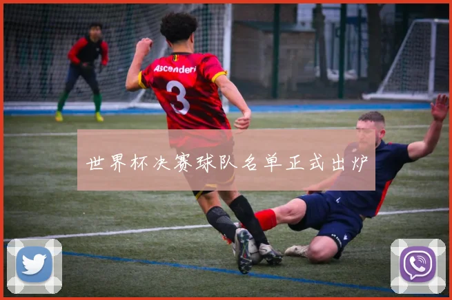 世界杯决赛球队名单正式出炉