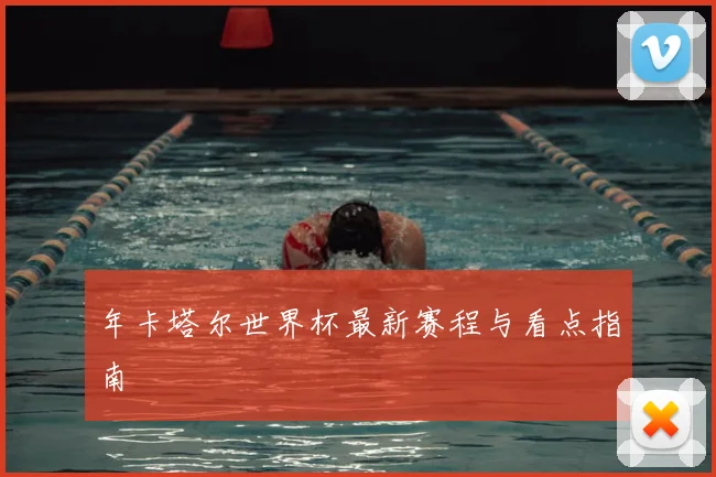 年卡塔尔世界杯最新赛程与看点指南