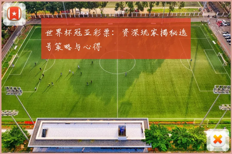 世界杯冠亚彩票:资深玩家揭秘选号策略与心得
