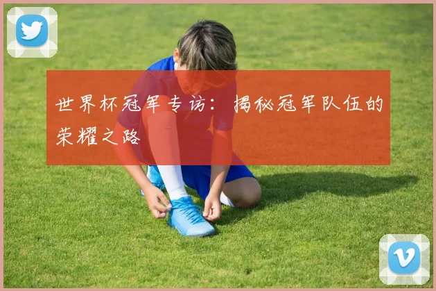 世界杯冠军专访：揭秘冠军队伍的荣耀之路
