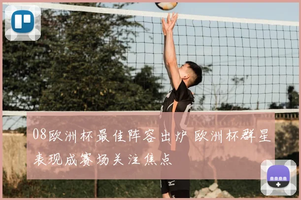 08欧洲杯最佳阵容出炉 欧洲杯群星表现成赛场关注焦点