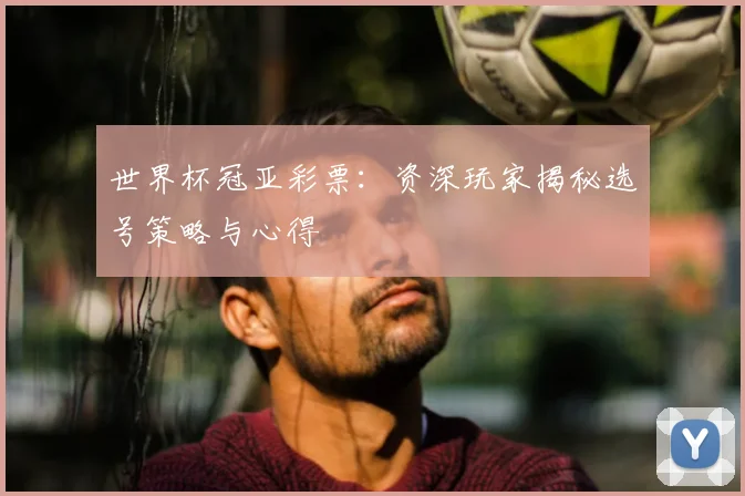 世界杯冠亚彩票：资深玩家揭秘选号策略与心得