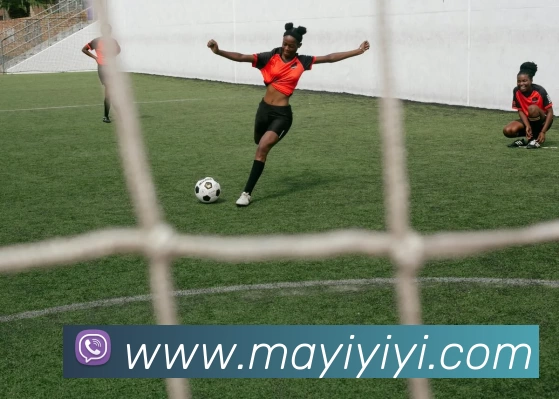 多媒体互动体验